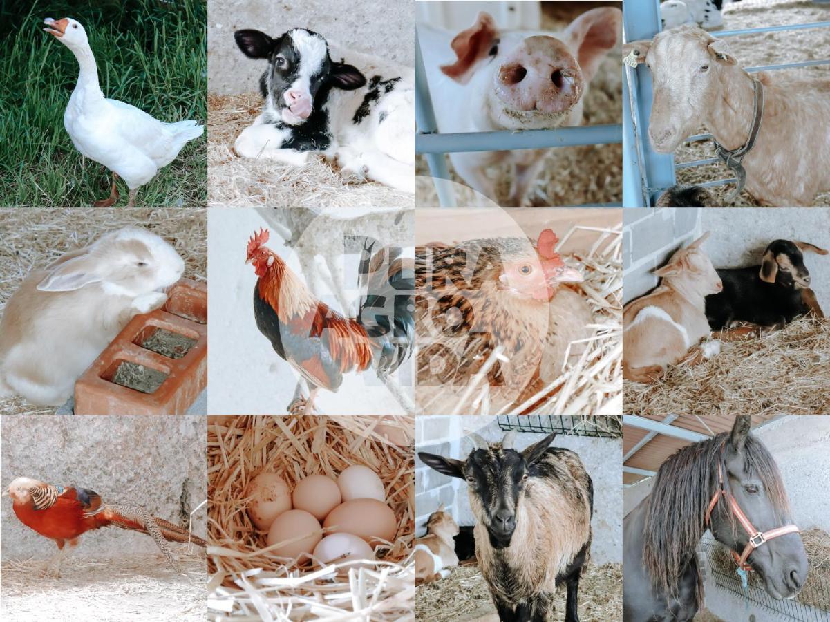 Pura Agro Vida Διαμέρισμα Galizano Εξωτερικό φωτογραφία